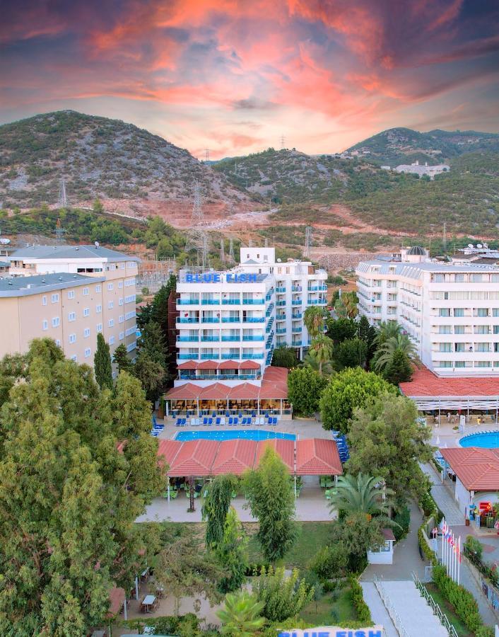Blue Fish Hotel Konaklı Kültér fotó